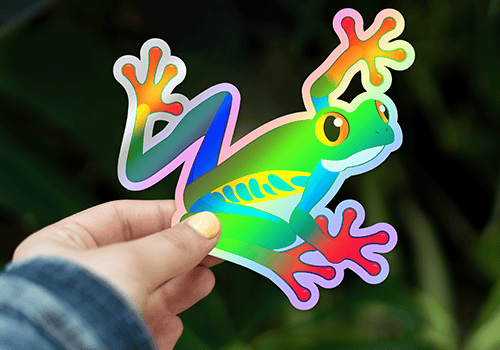 Hand holding an frog holographic sticker