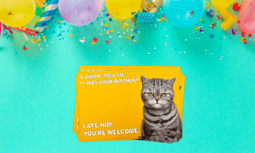 Birthday meme with cat