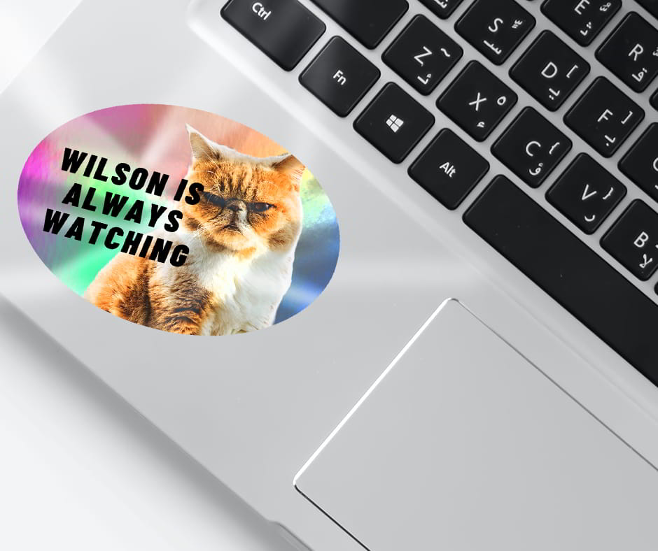 Holographic cat sticker