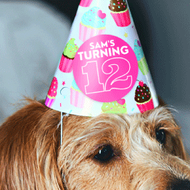 Dog with a birthday sticker on his head